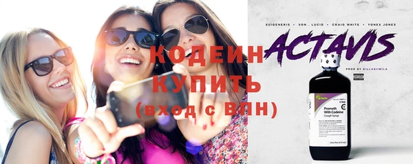 ГАЛЛЮЦИНОГЕННЫЕ ГРИБЫ Дмитриев