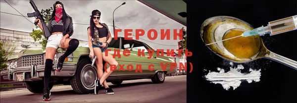ГАЛЛЮЦИНОГЕННЫЕ ГРИБЫ Дмитриев