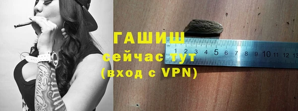 ГАЛЛЮЦИНОГЕННЫЕ ГРИБЫ Дмитриев