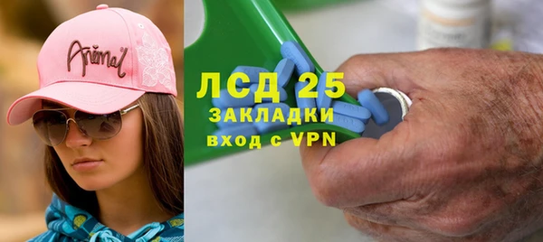 ГАЛЛЮЦИНОГЕННЫЕ ГРИБЫ Дмитриев