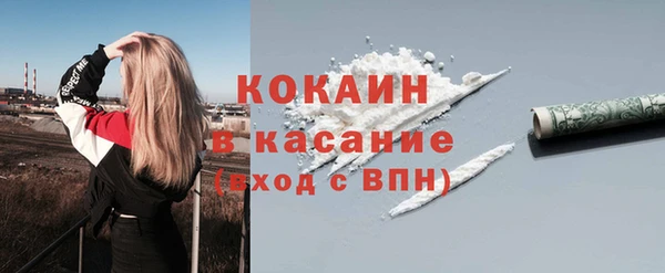 ГАЛЛЮЦИНОГЕННЫЕ ГРИБЫ Дмитриев