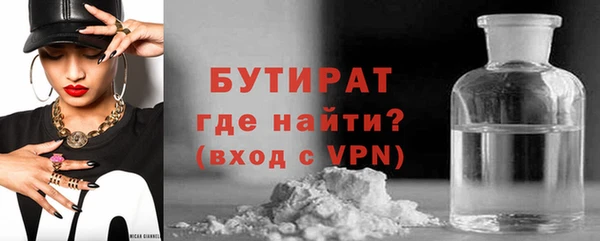 ГАЛЛЮЦИНОГЕННЫЕ ГРИБЫ Дмитриев