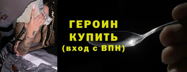 ГАЛЛЮЦИНОГЕННЫЕ ГРИБЫ Дмитриев