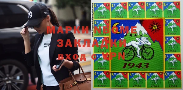 ГАЛЛЮЦИНОГЕННЫЕ ГРИБЫ Дмитриев