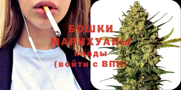 ГАЛЛЮЦИНОГЕННЫЕ ГРИБЫ Дмитриев