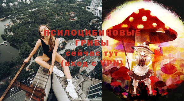каннабис Дмитров