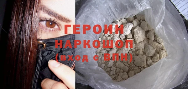 ГАЛЛЮЦИНОГЕННЫЕ ГРИБЫ Дмитриев