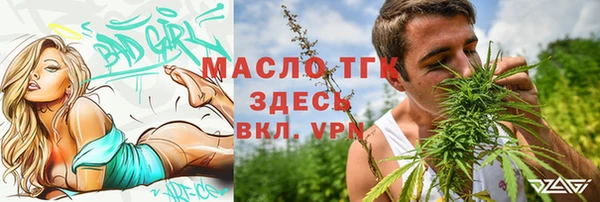 ГАЛЛЮЦИНОГЕННЫЕ ГРИБЫ Дмитриев