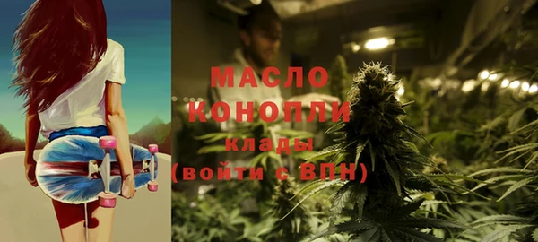 ГАЛЛЮЦИНОГЕННЫЕ ГРИБЫ Дмитриев