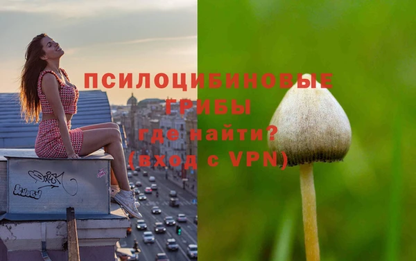 ГАЛЛЮЦИНОГЕННЫЕ ГРИБЫ Дмитриев