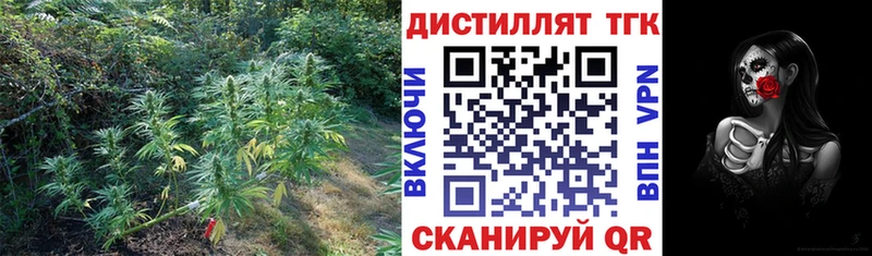 где купить   Лысково  ТГК THC oil 